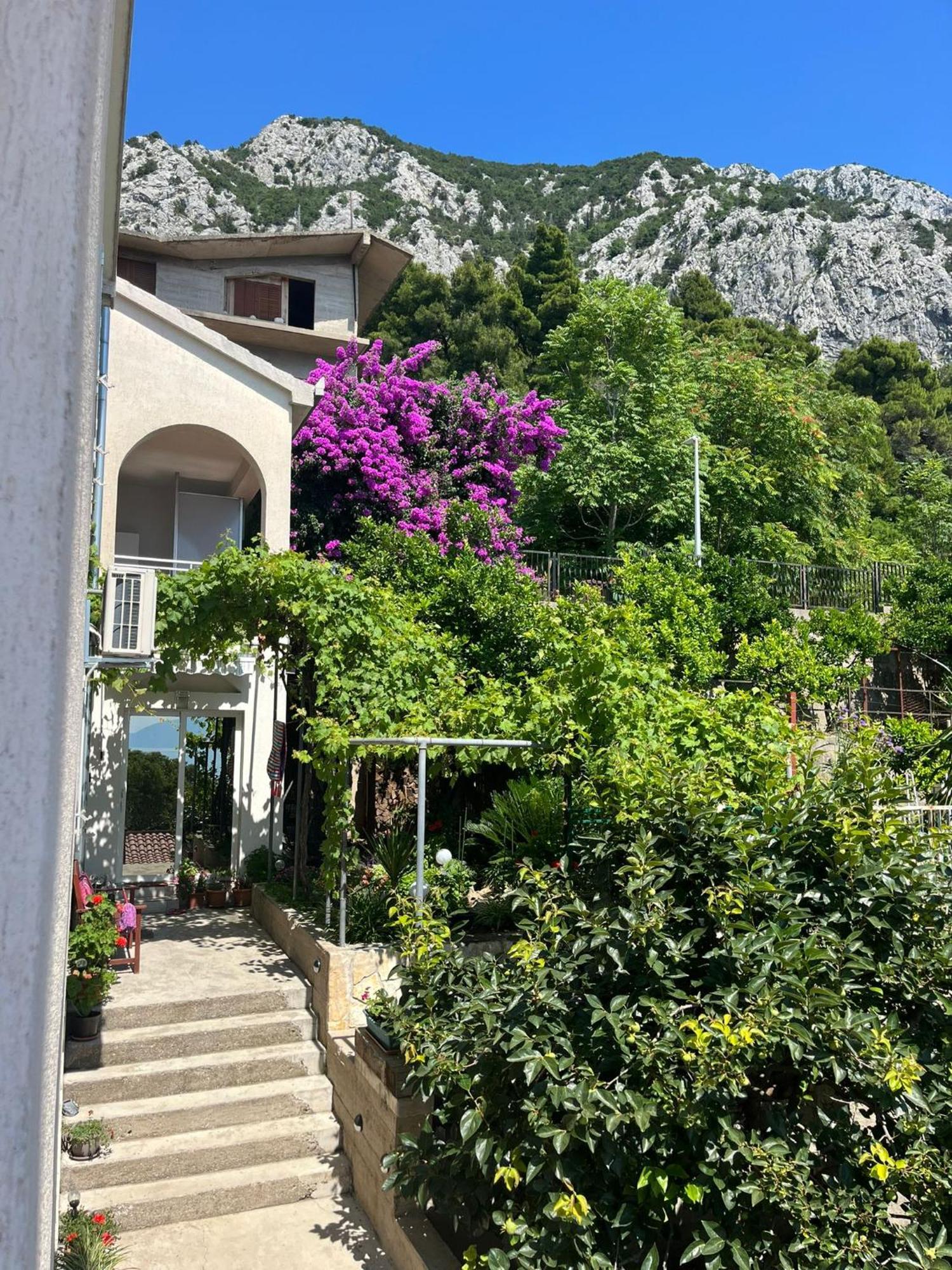 Apartment Davor Gradac  Extérieur photo