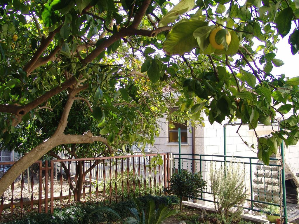 Apartment Davor Gradac  Chambre photo